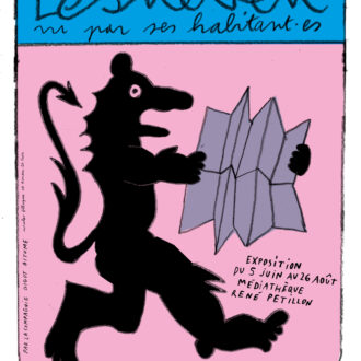 Lesneven vu par ses habitants